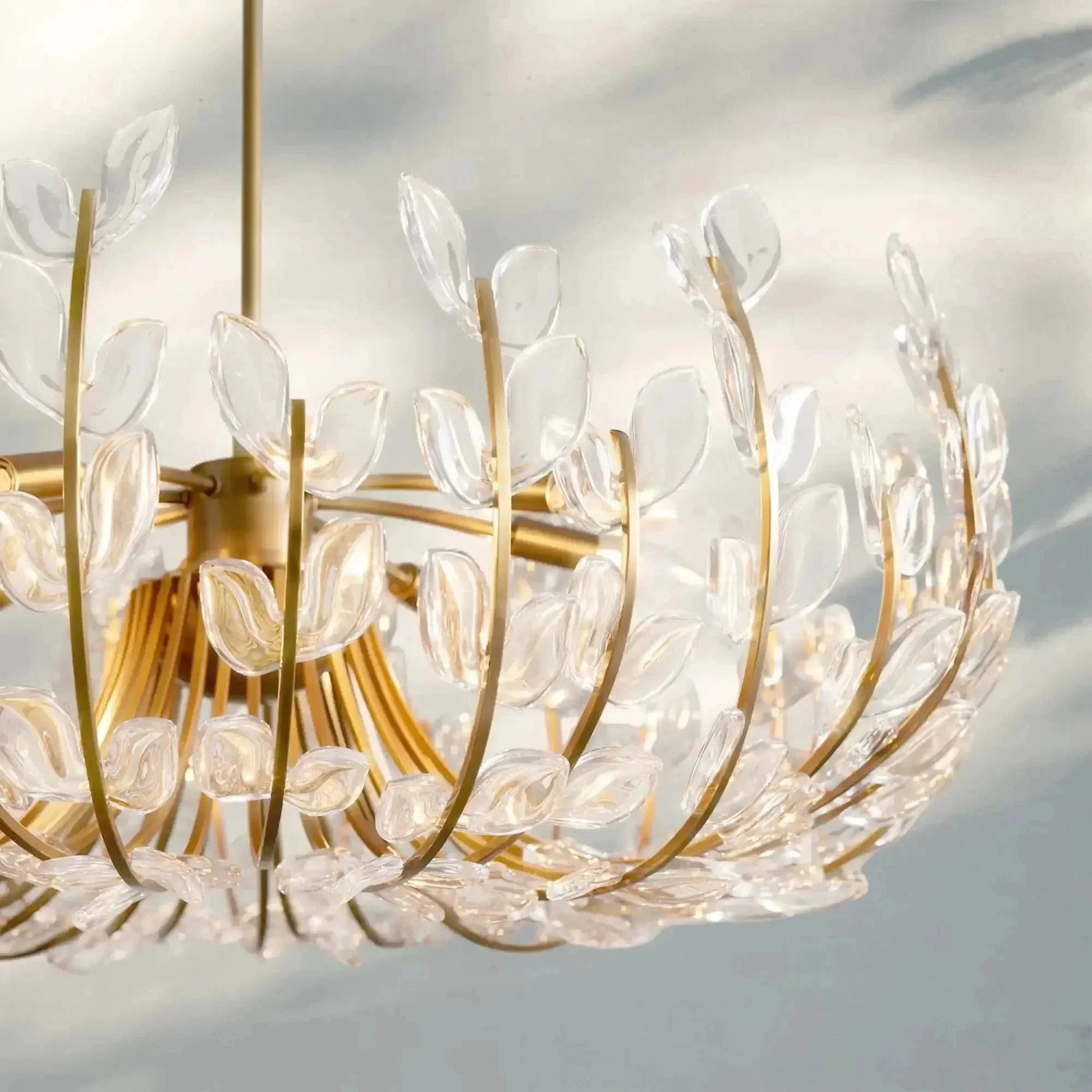 Adela 6/8 Lights Chandelier - GILDLAMPS