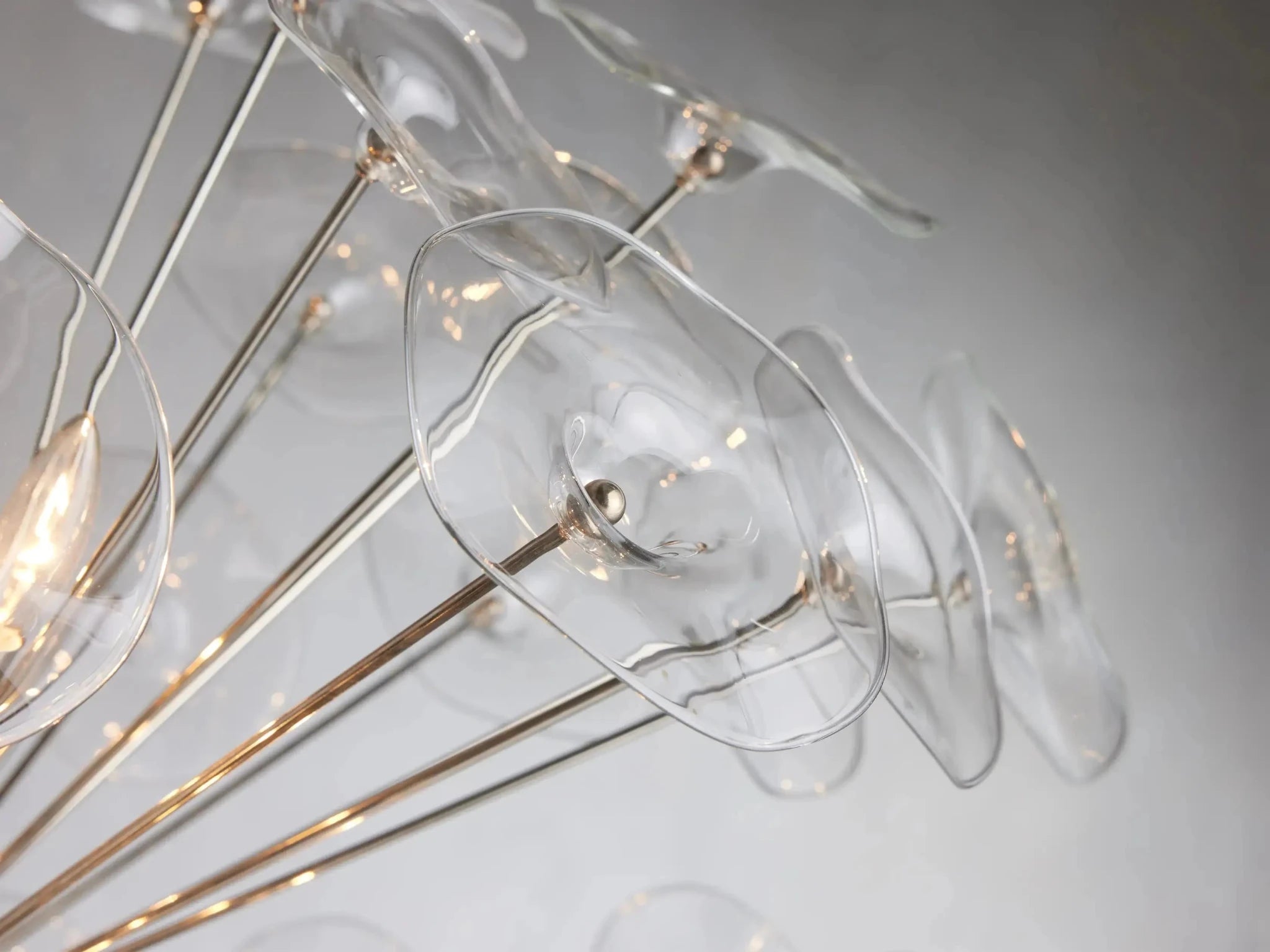 Lily Round Chandelier 8/10/19 Light - GILDLAMPS